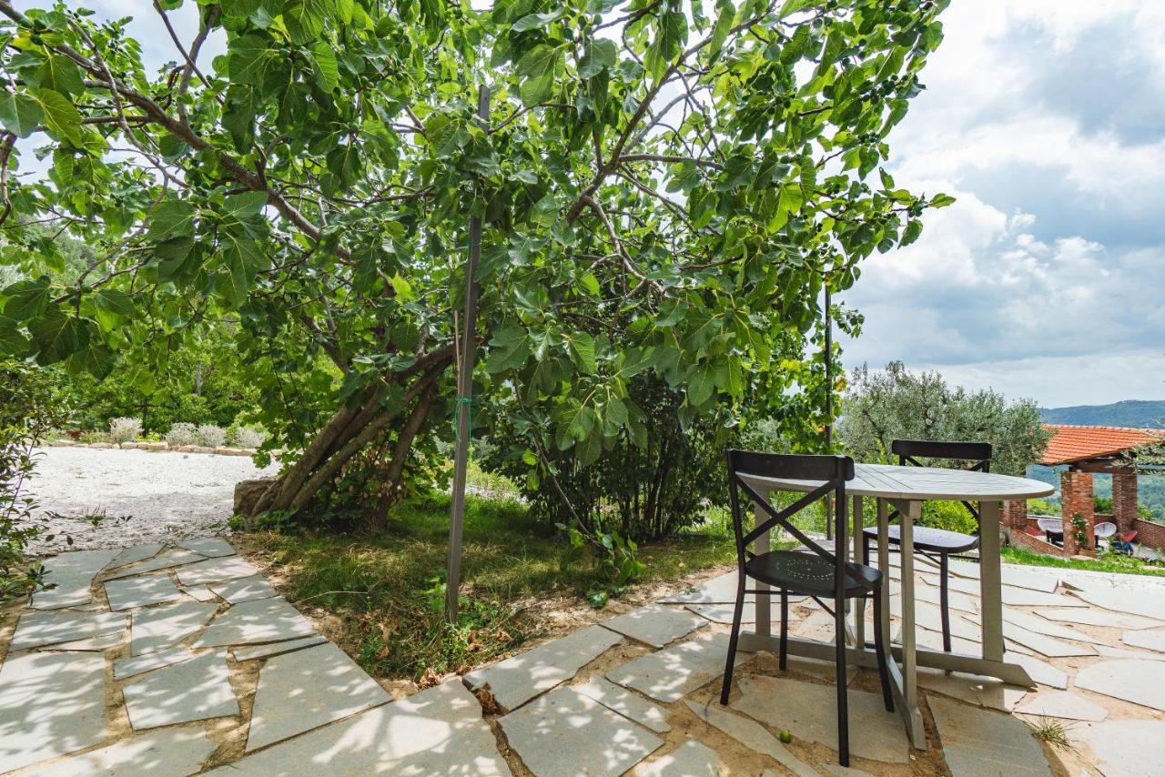 Agriturismo Le Fonti Pontassieve Zewnętrze zdjęcie